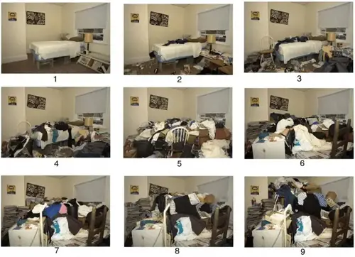 Compulsive hoarding signs causes treatment clutter image rating scale